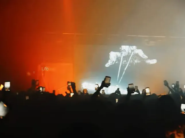 NETTSPEND EARLY LIFE CRISIS CONCERT RECAP