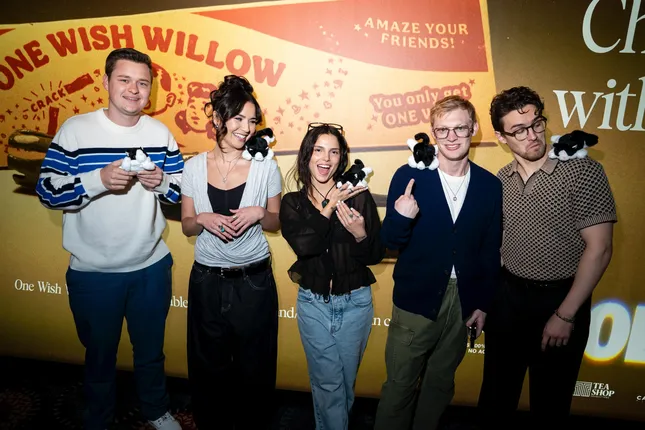 Project image