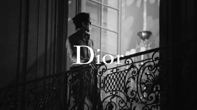 Teaser for the summer 27 Men’s show - DIOR