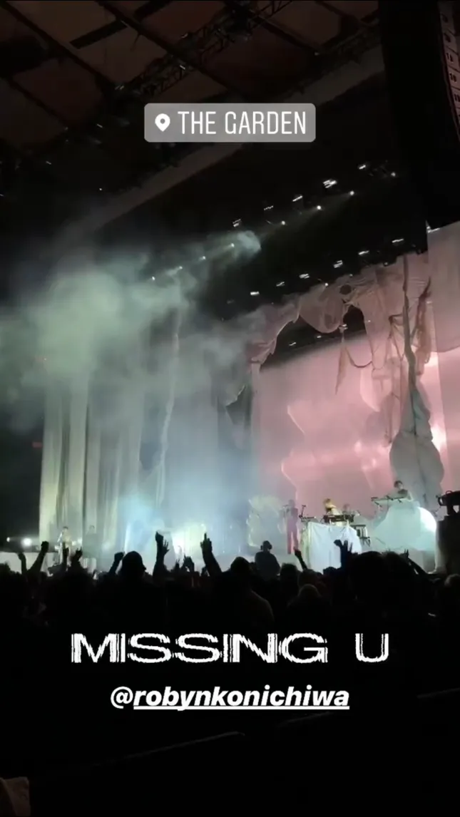 Robyn at MSG | Social Media Event Coverage