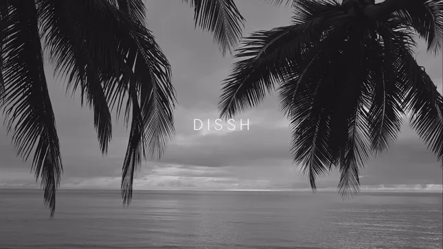 DISSH Campaign