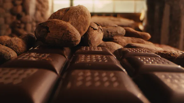 Dandelion Chocolate – Bean-to-Bar