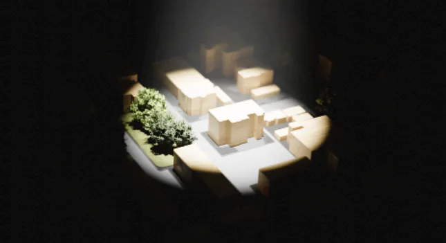 Project image
