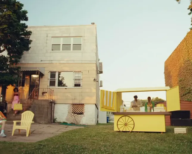 LEMONS BAG CAMPAIGN