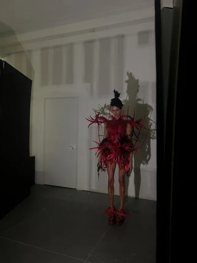 Project image