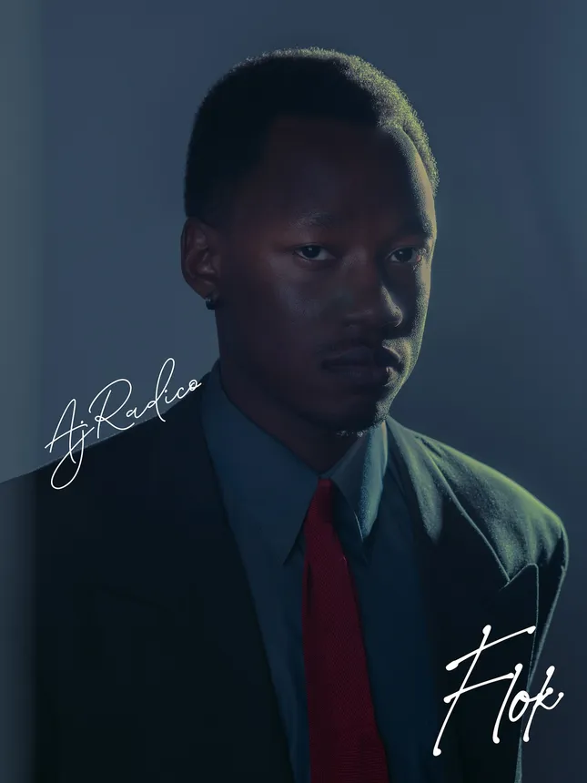 Flok Digital Cover - AJRADICO