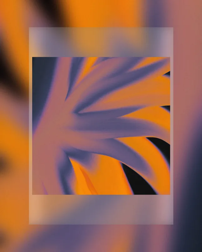 Jameson Spencer - Transitional Units