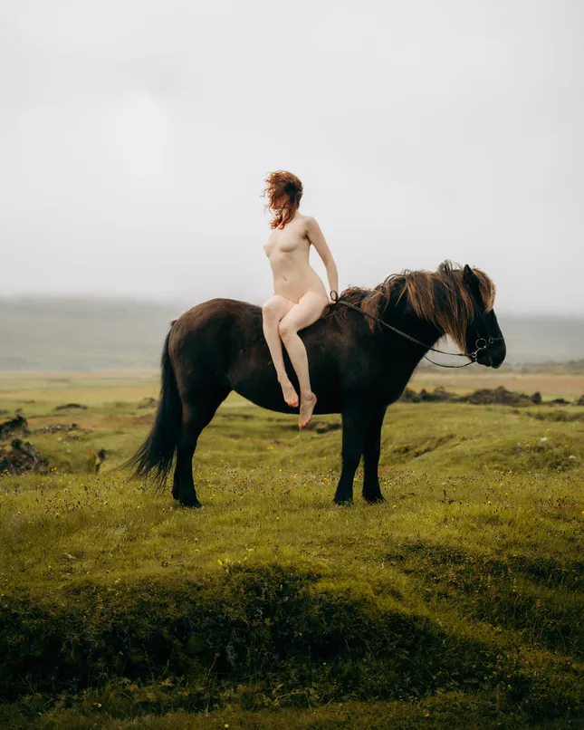 Icelandic horse project