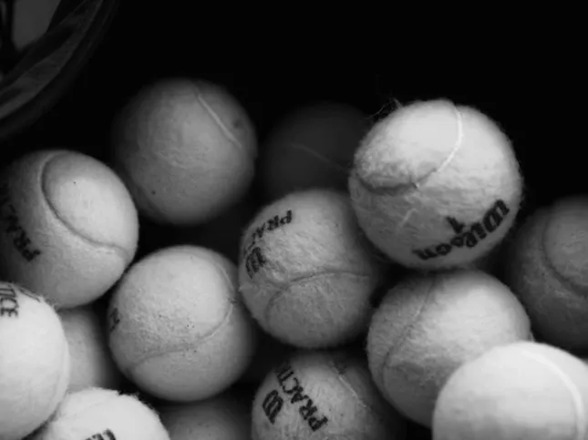 US OPEN (2026)