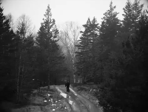 Various Directing/Editing work for Nobu Woods