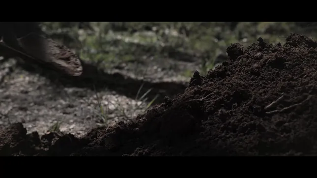 SHYE. - Manic // Music Video