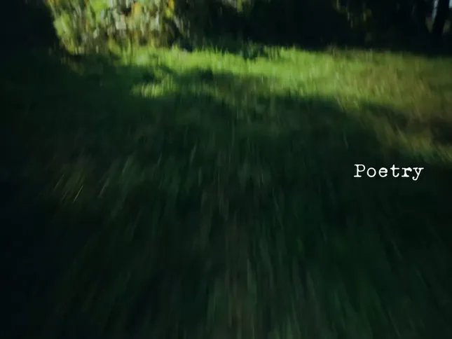 Poetry - ZOLA
