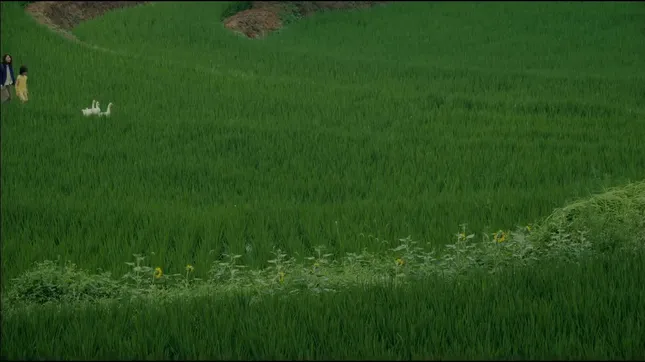 2025 Cinematography Reel