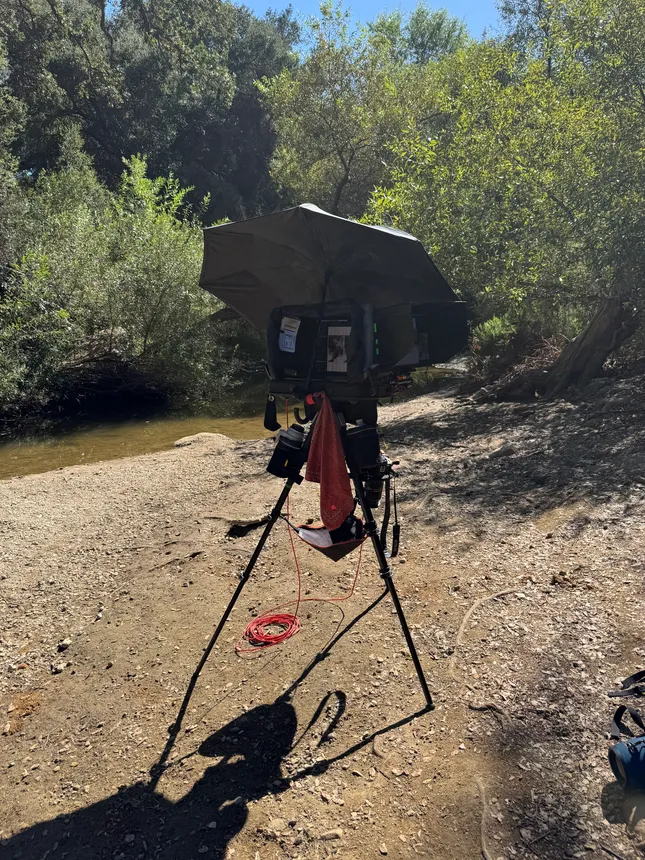 Project image