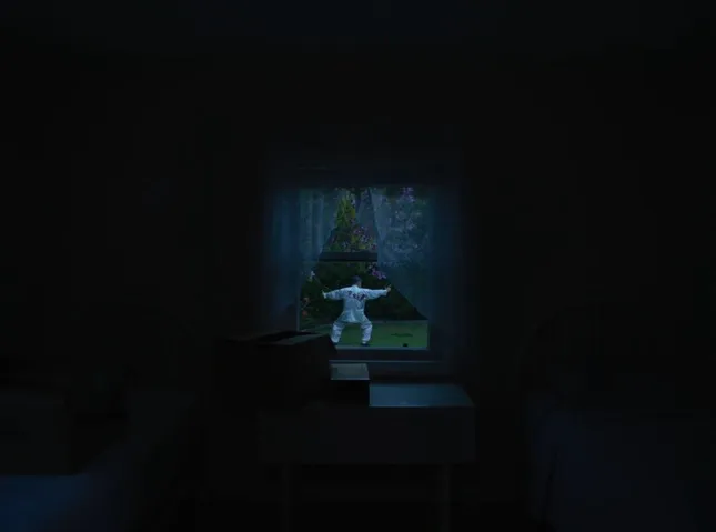 Project image