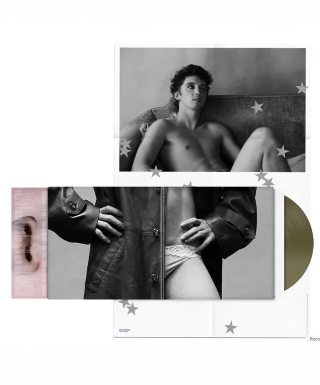 Troye Sivan Album Art