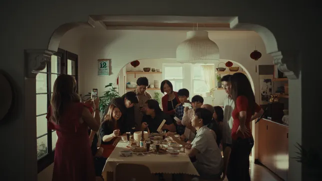 FRAMES OF FAMILY LIFE // CAMPAIGN FOR APIAVOTE