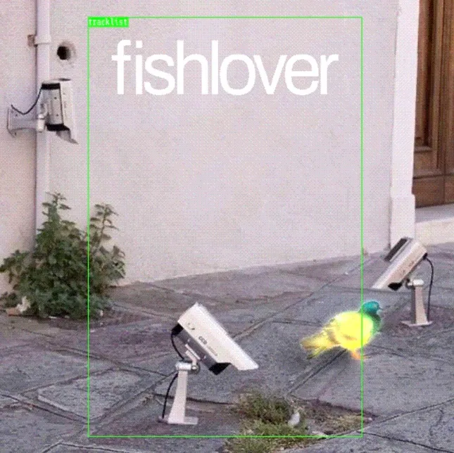 Project image
