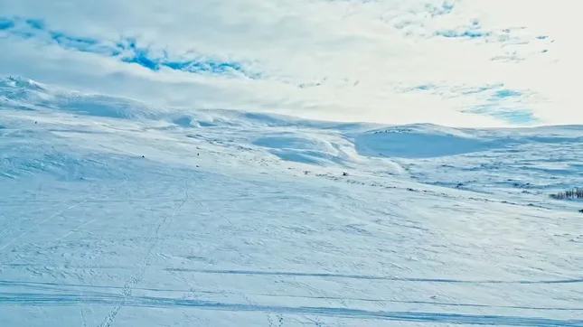 Iditarod - The Loneliest Road