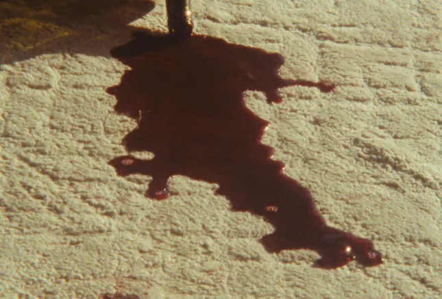 Spilled Wine