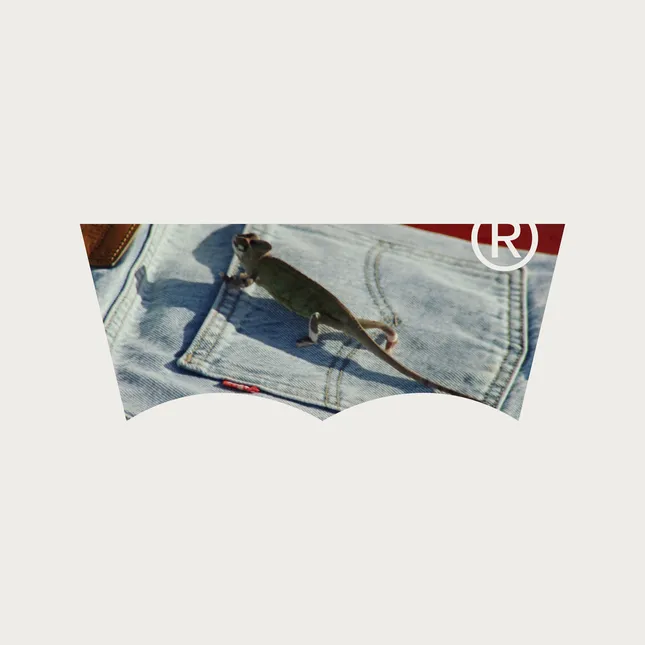 Levi's Summer 2025