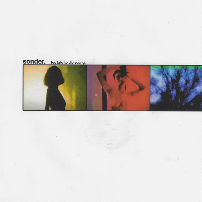 Sonder Too Late To Die Young Cover Art