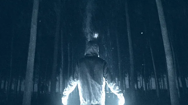 L’errant - The Night Wanderer