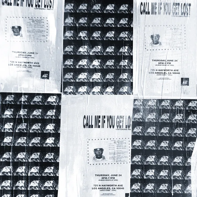 Project image