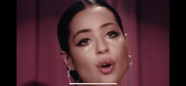 Alexa Demie- Leopard Limo