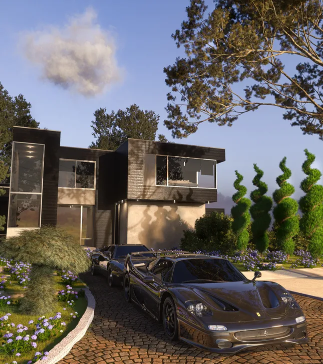 Project image