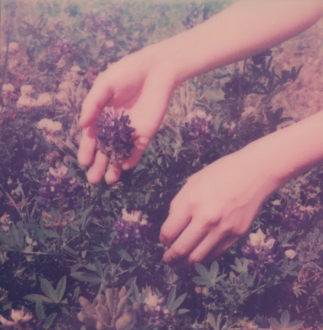 Summer Breeze