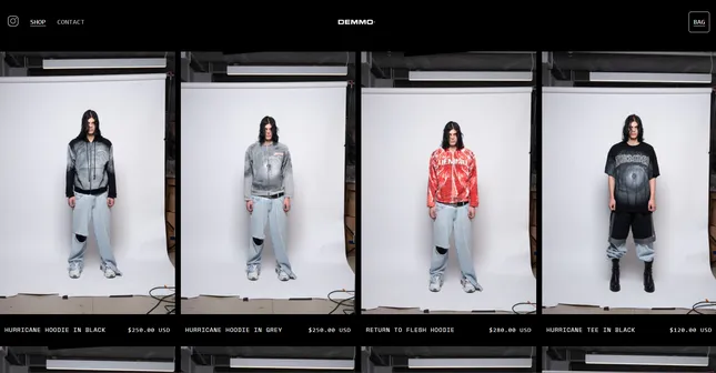 DEMMO website