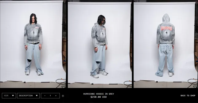 Project image