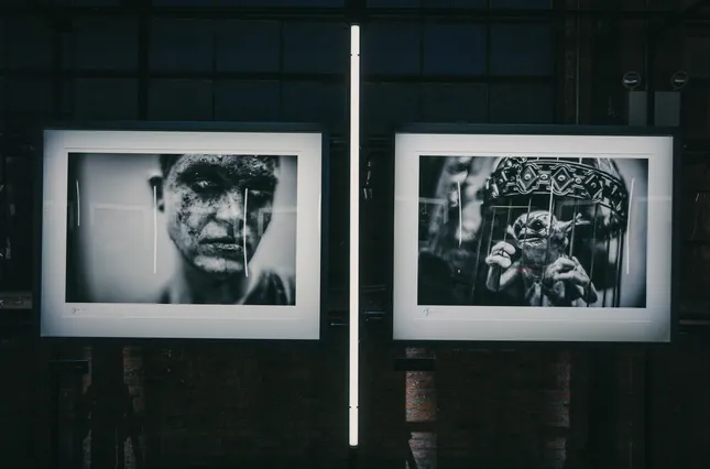 Project image