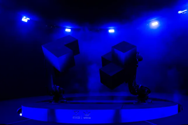 Project image