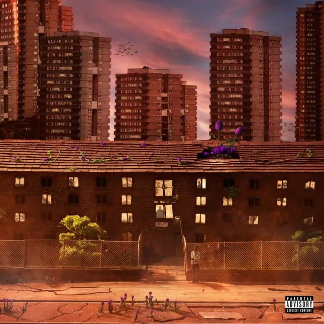 M24 - Concrete Rose