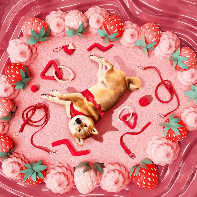 Wildone Strawberry