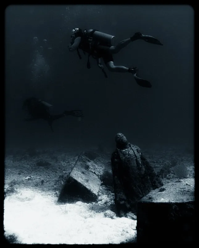 Project image