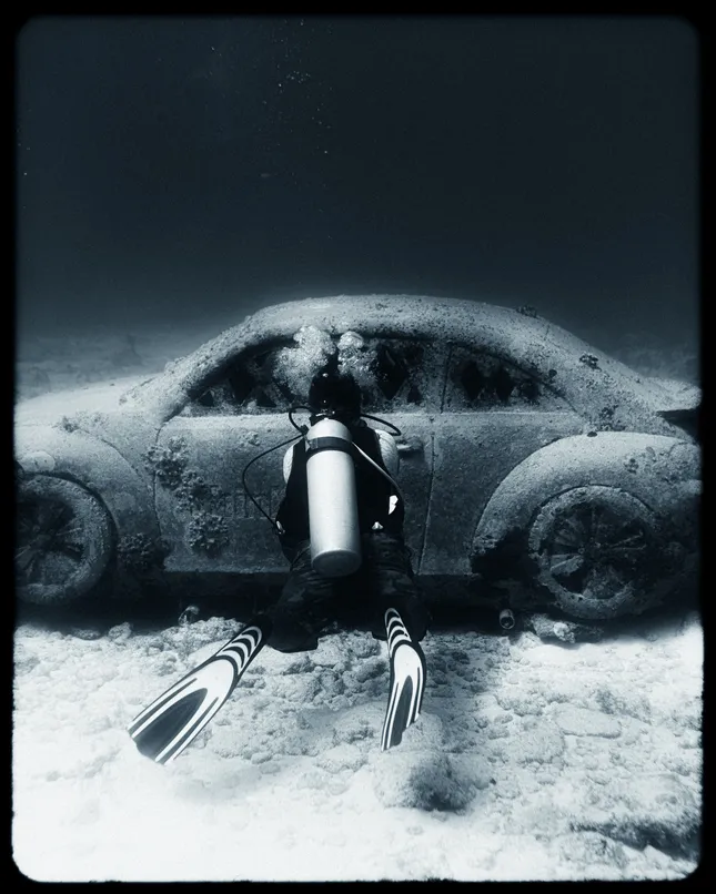 Project image