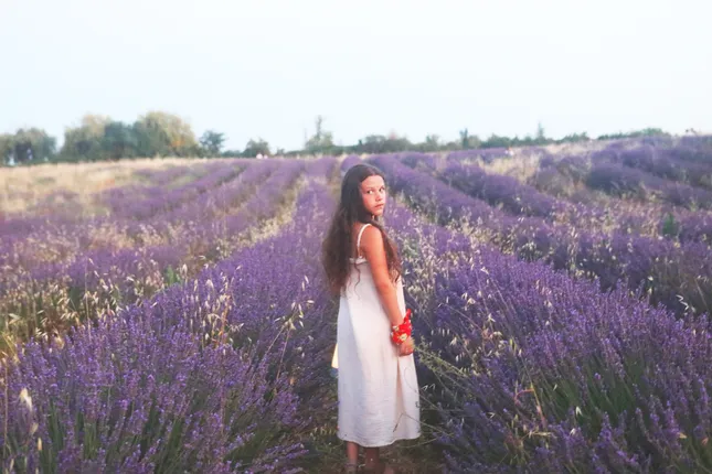 Terre Ugo - Lavander Campaign