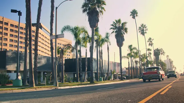 Mister Cartoon x Turtle Wax “The Art of Car Care” Docu-Series