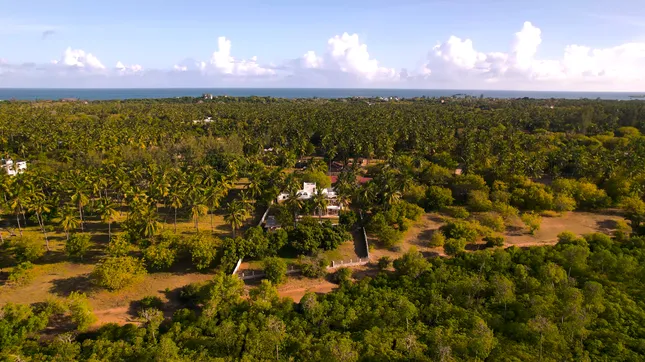 Azure Villa in Watamu, Kenya