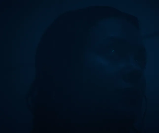 Autty - Sheep Sheets (Offical Video)