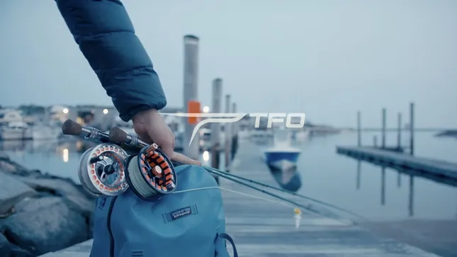 TFO BLITZ