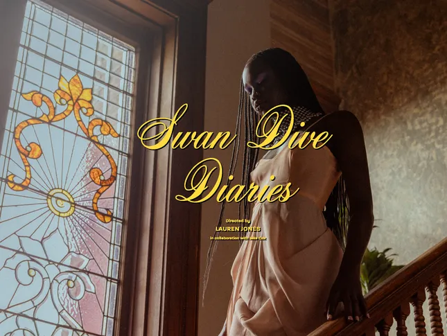 Swan Dive Diaries