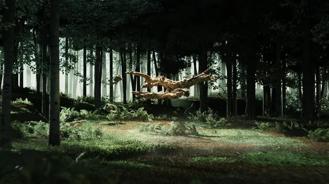 Project image