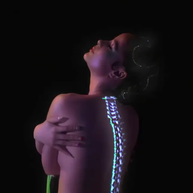 Blossom spine projection mapping