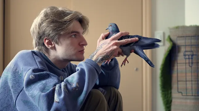 Cats With Wings - Social Documentary