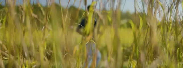 ‘Measure of Success’ Kent State University Commercial