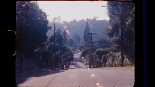 MCS - SS24
